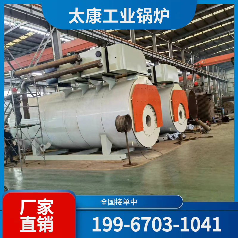 黑河生物质蒸汽锅炉